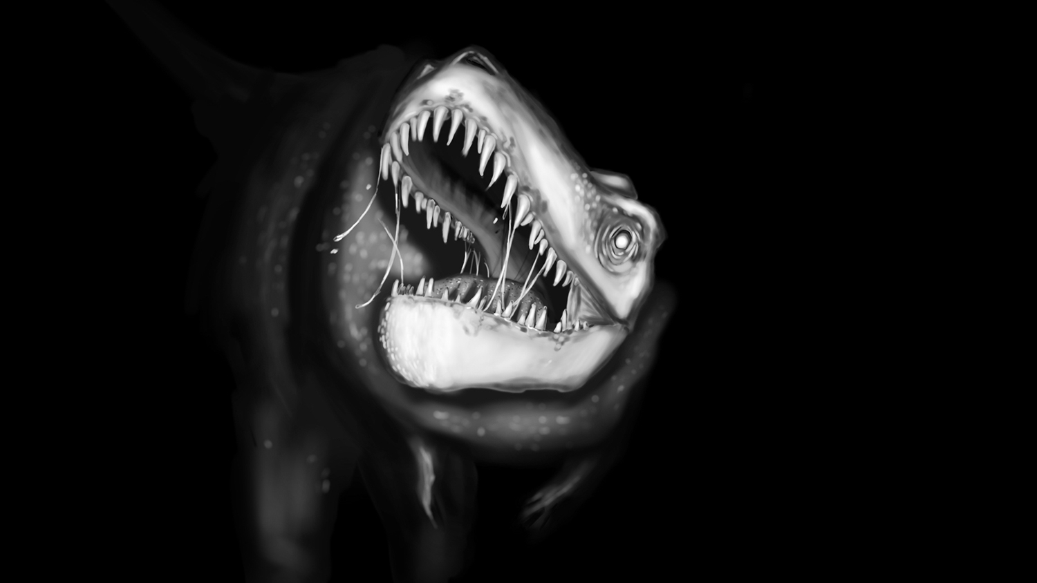 Keira Schick Titliest Rebrand TourSoft front box mockup